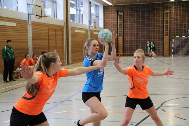 2017_01_08 Landesliga Frauen u. J19